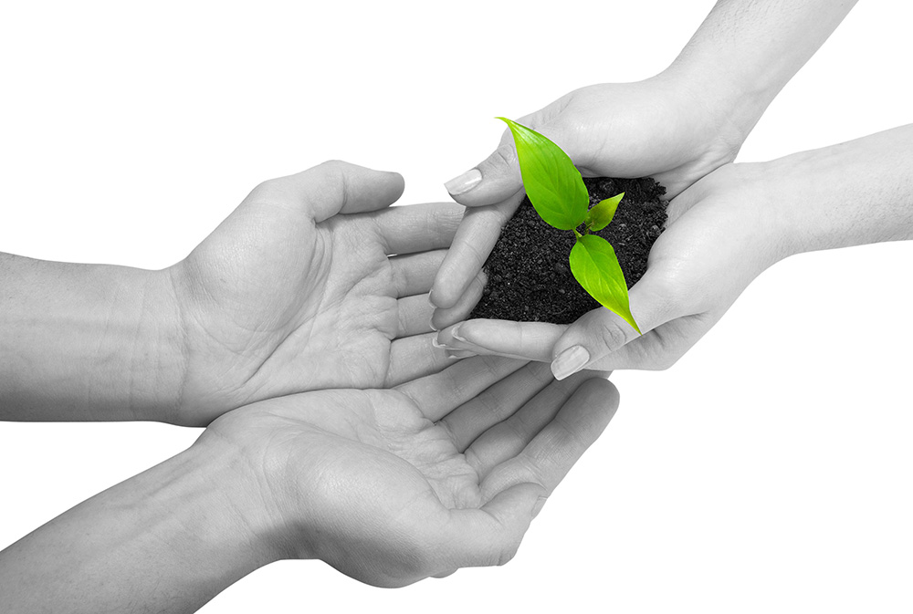 ddos攻击在哪能买到